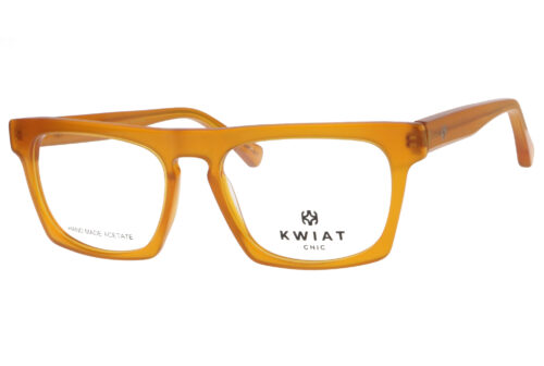 KS CH 9079 B frame