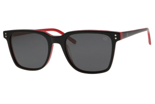 KS CH 9100 D