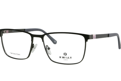 KW CH 9096 B
